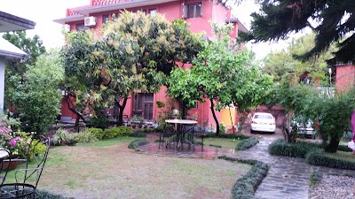 Photos of Hotel Blue Horizon