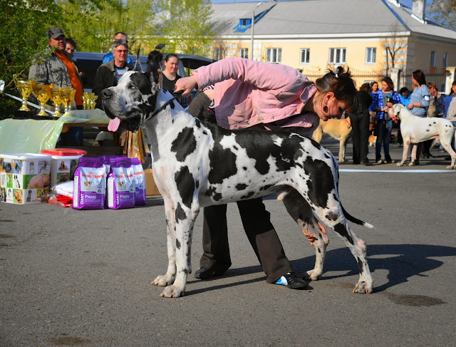 Кубок Аризоны-14(ПК)+ЧРКФ, Красноярск, 27 апреля 2014 DSC_6043