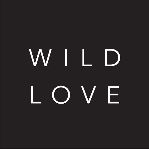 Wild Love Hair Studio logo
