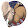 Michael Ciric Michael Ciric's profile photo