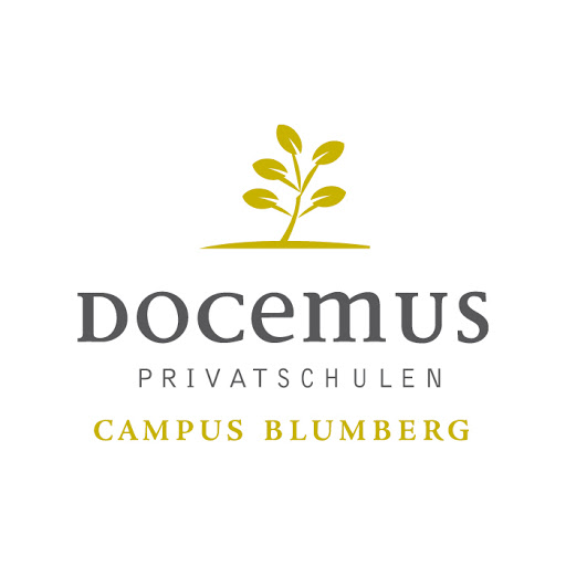 Docemus Privatschulen – Campus Blumberg logo