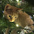 P Spee avatar image