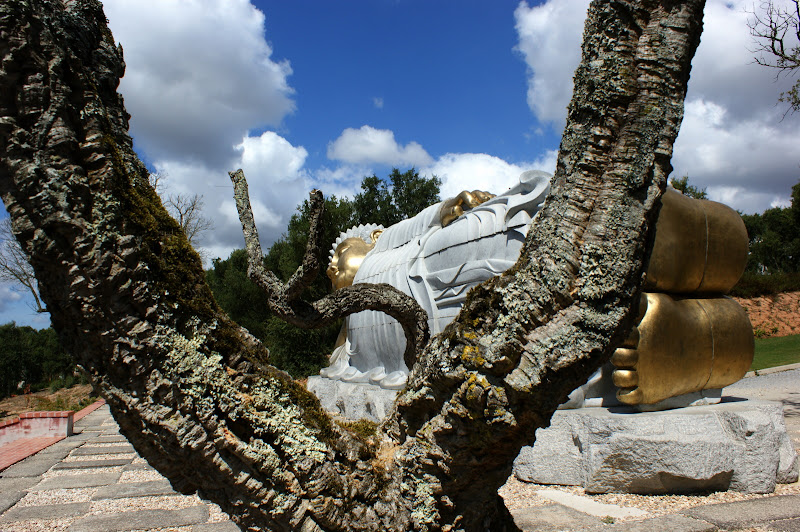 Quinta dos Lóridos, Buda