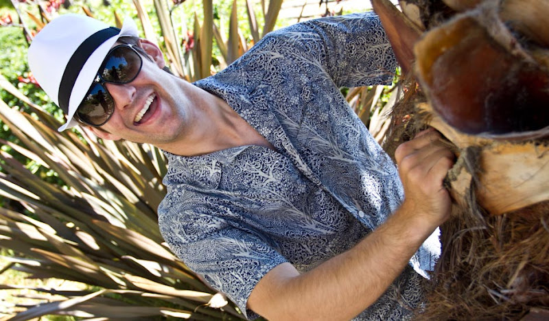 Turner Bawaiian Palm Tree Peek