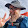 Raúl González Raúl González's profile photo