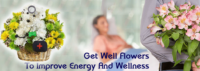 Get Well Flowers To Improve Energy And Wellness
