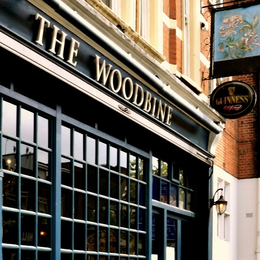 The Woodbine - Irish Pub logo
