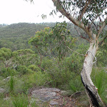 One of several view points on the Bungaroo track (122314)