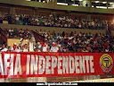 TORCIDA ORGANIZADA MÁFIA INDEPENDENTE