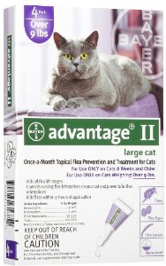  Advantage Purple 4 Pack Large Cat