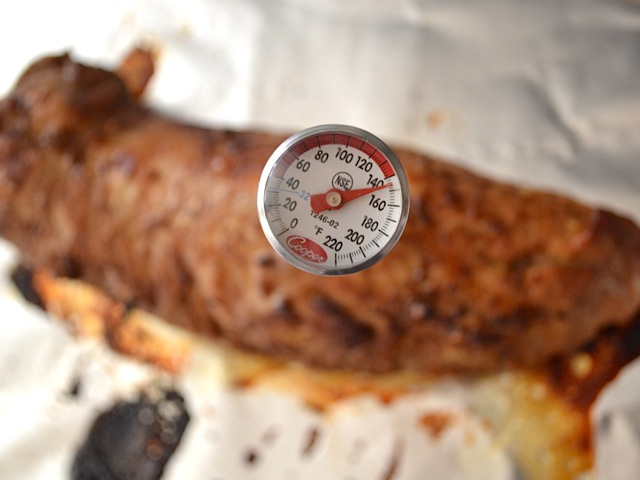 checking temp of meat with meat thermometer 