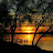 lanie paul avatar image