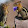 Manditoe Mya Manditoe Mya's profile photo