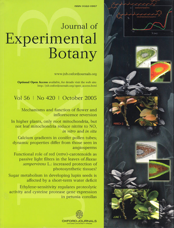 Ilustración de portada para la revista Journal of Experimental Botany