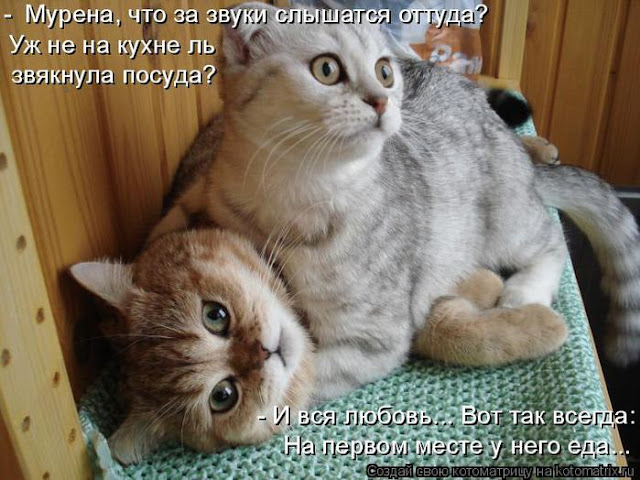 Ни дня без улыбки. Цитаты из школьных сочинений. Часть 4. Ни дня без улыбки. Цитаты из школьных сочинений. Часть 4.
