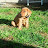 Ed P avatar image