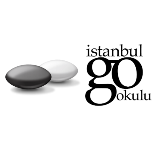 İstanbul Go Okulu logo