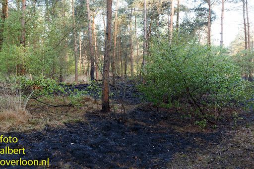 nacontrole bosbrand Overloon 18-04-2014 (5).jpg