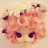 Gemma Doll avatar image