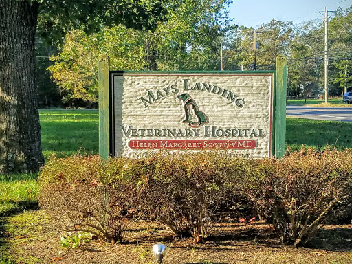 Veterinarian «Mays Landing Veterinary Hospital, LLC», reviews and photos