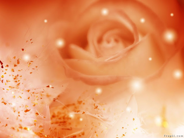 Cover photo