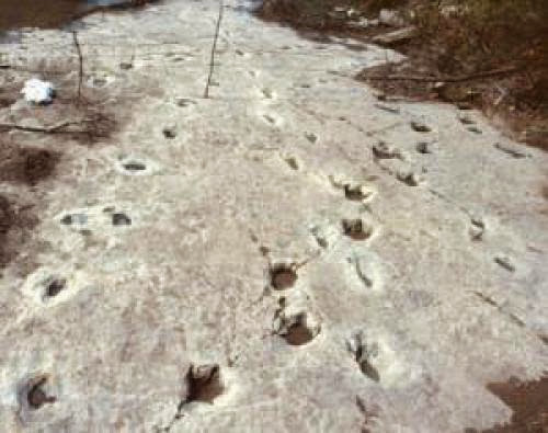 Giant Fossilized Human Tracks In The Paluxy Riverbed Prove The Existance Of Bigfoot