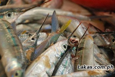 Baritos Baritos