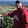 Dan Flaherty Dan Flaherty's profile photo