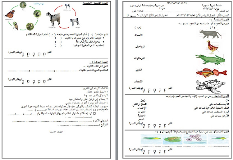 أوراق عمل علوم مطور للصف الثاني الأبتدائي الفصل الاول المنهاج السعودي |  منتديات صقر الجنوب