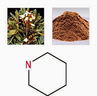 CHIẾT XUẤT VỎ CÂY CATUABA ERYTHROXYLUM CATUABA CHIẾT XUẤT VỎ CÂY CATUABA ERYTHROXYLUM CATUABA