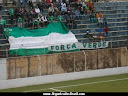 TORCIDA FORÇA VERDE