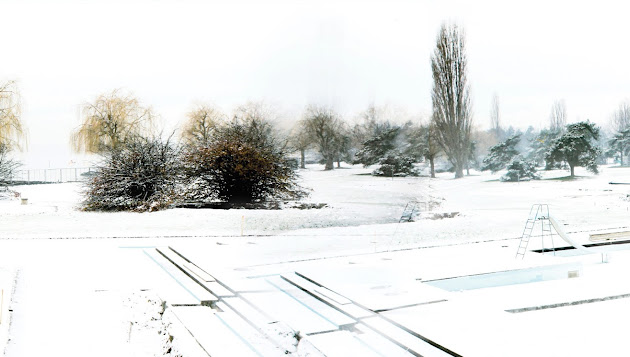 Cover photo
