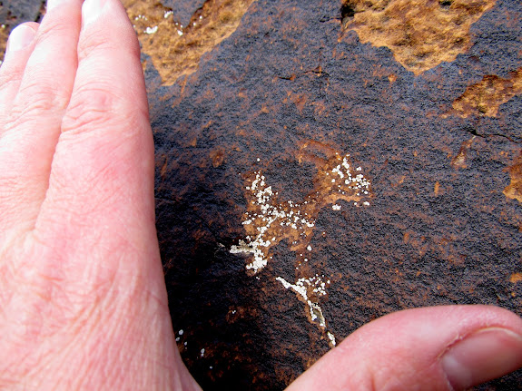 Tiny sheep petroglyph with my hand for scale