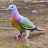 Naomi Perreira avatar image
