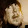 RadioFreeEurope1 RadioFreeEurope1's profile photo