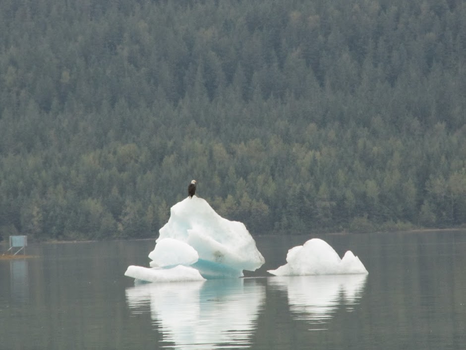 Моими ненасытными глазами природа восхищается собой: круиз на Аляску, Radiance of the Seas