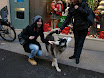 DSC03711.JPG