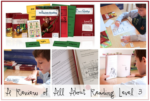 all-about-reading-level-3-review-delightful-learning