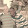 HERMANN AMON HERMANN AMON's profile photo