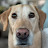 Seth Feder avatar image