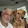 LUIS HERNANDEZ LUIS HERNANDEZ's profile photo