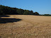 Harvested field near Home Farm, Flixton