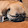 ALEXANDR1239 ALEXANDR1239's profile photo