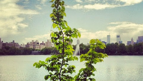 Cover photo