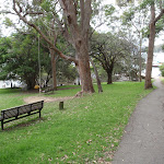 Elvina Bay Park showing seat and rope swing (90627)