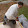 Lawrence Millar Lawrence Millar's profile photo
