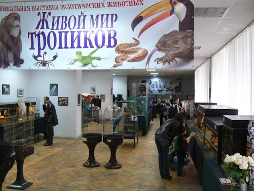 Выставка "Чудеса природы" Выставка "Чудеса природы"