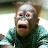 Pete Clayton avatar image
