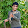 Hari Krishnan Hari Krishnan's profile photo