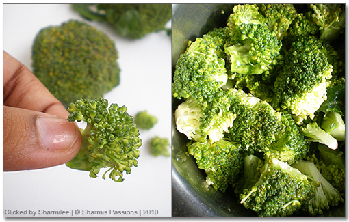 Broccoli Stir Fry Recipe Broccoli Stir Fry Recipe